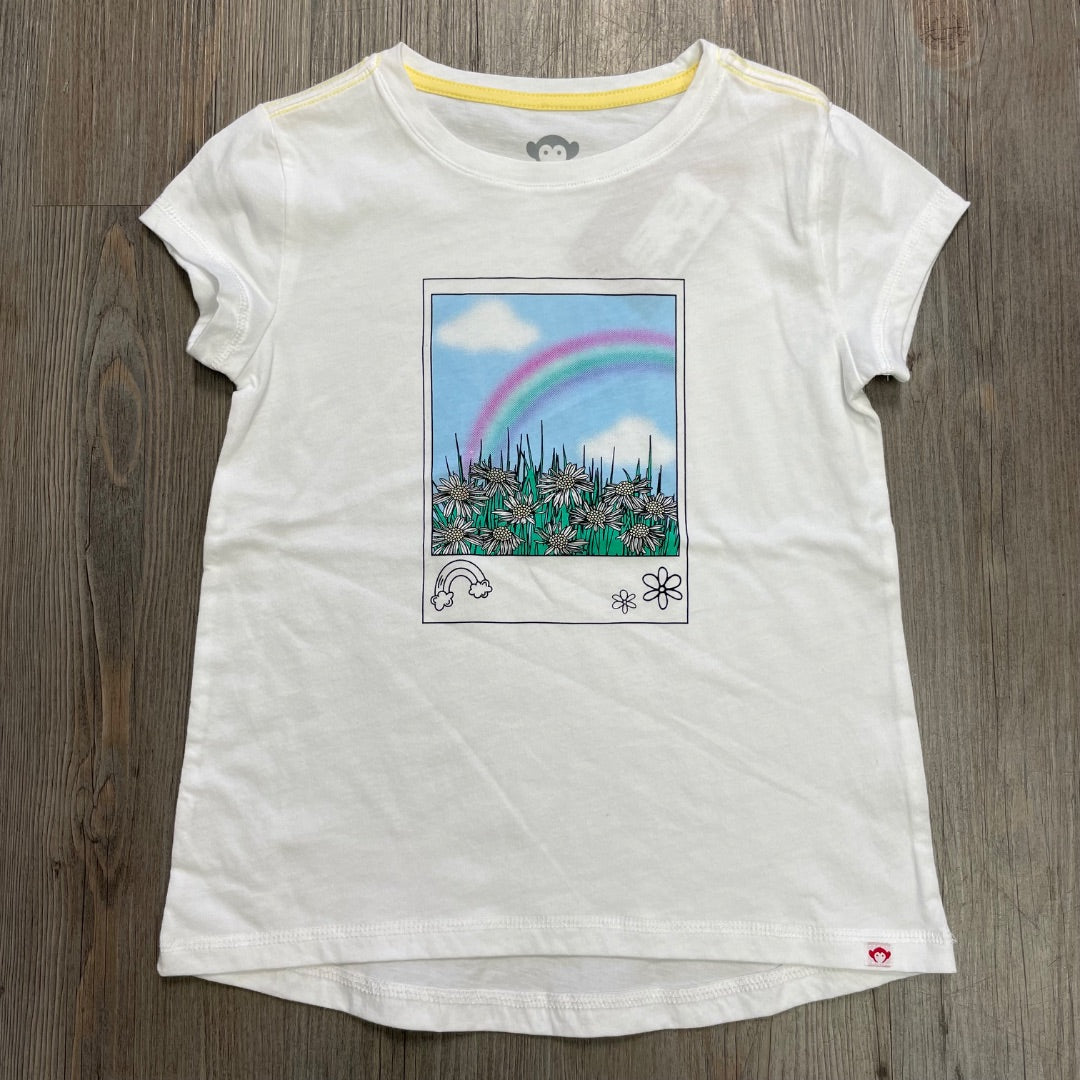 Rainbow Appaman T- Shirt, 6Y