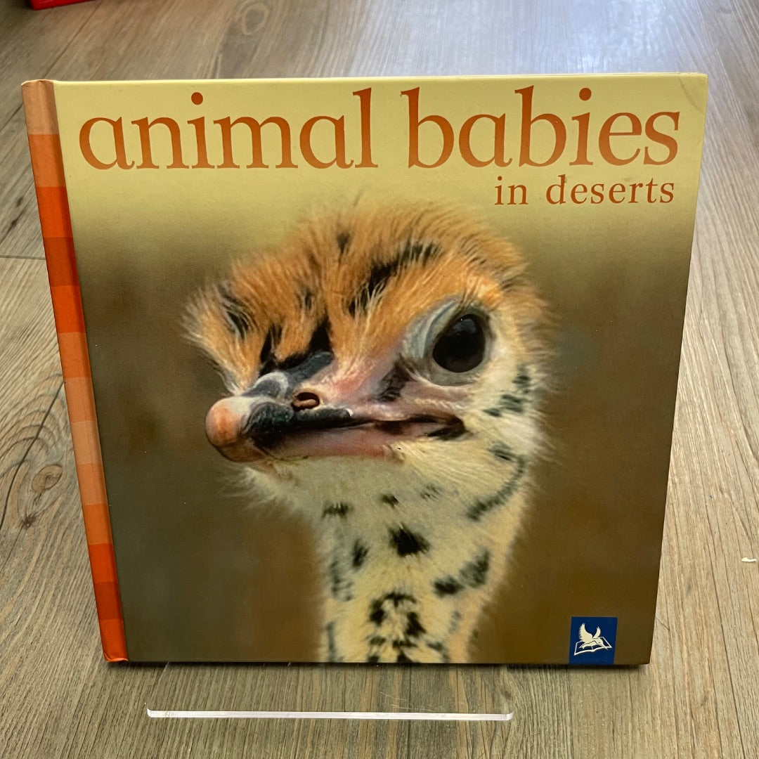 Multi Colour  Animal Babies In Deserts, Hardcover