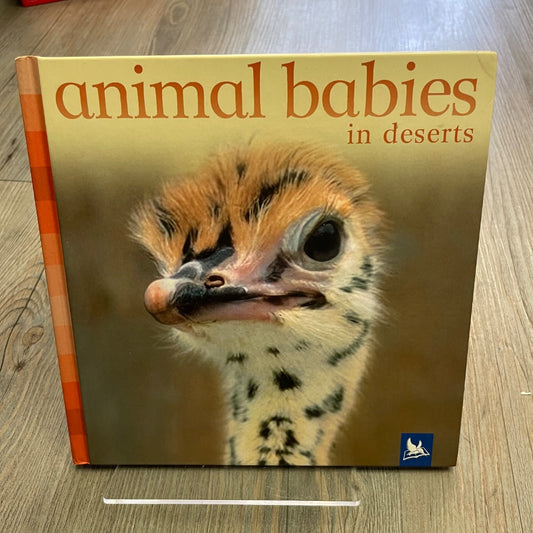 Multi Colour  Animal Babies In Deserts, Hardcover