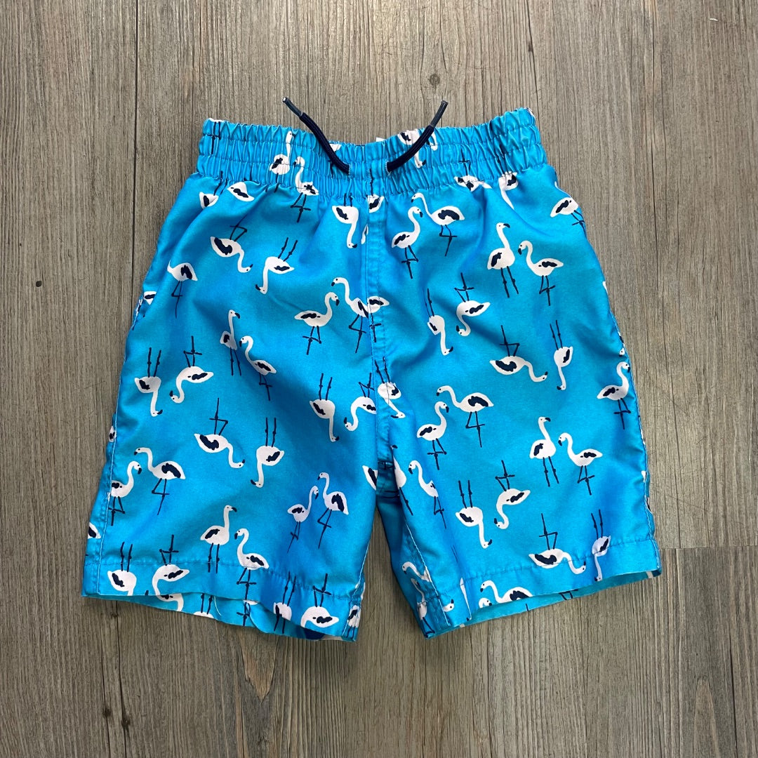 Flamingo Print Joe Fresh Swimming Shorts, 5Y