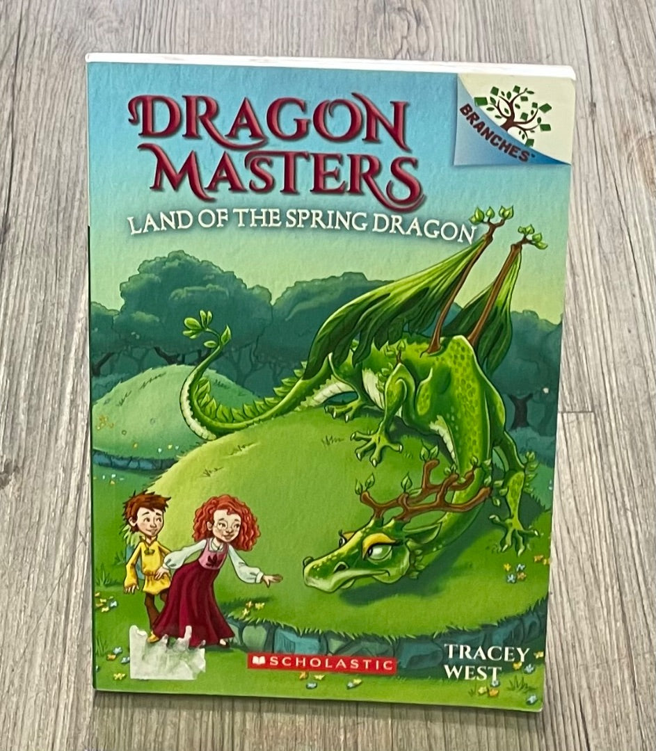 Multi Colour  Dragon Masters #14