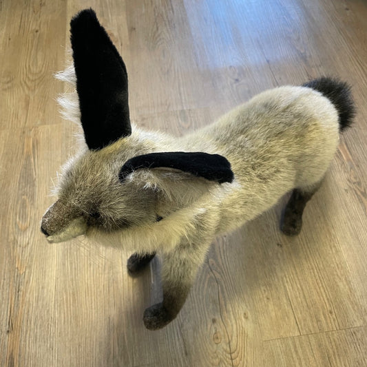 Grey Hansa Bat Eared Fox, 16 inch