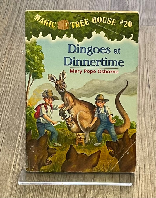 Multi Colour  Magic Tree House #20, Paperback