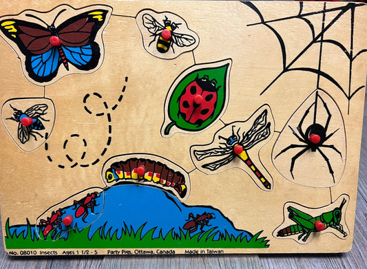 Multi  Insect Peg Puzzle, 9 Pcs