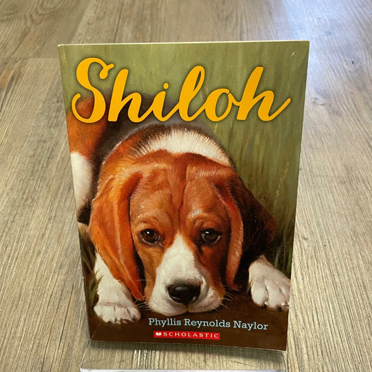 Multi Colour  Shiloh, Paperback