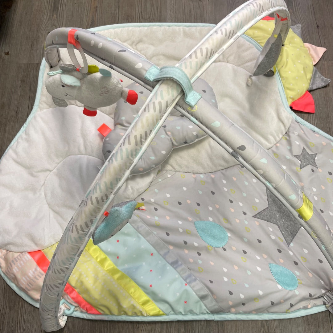 Multi Colour Skip Hop Activity Gym, Pre-owned