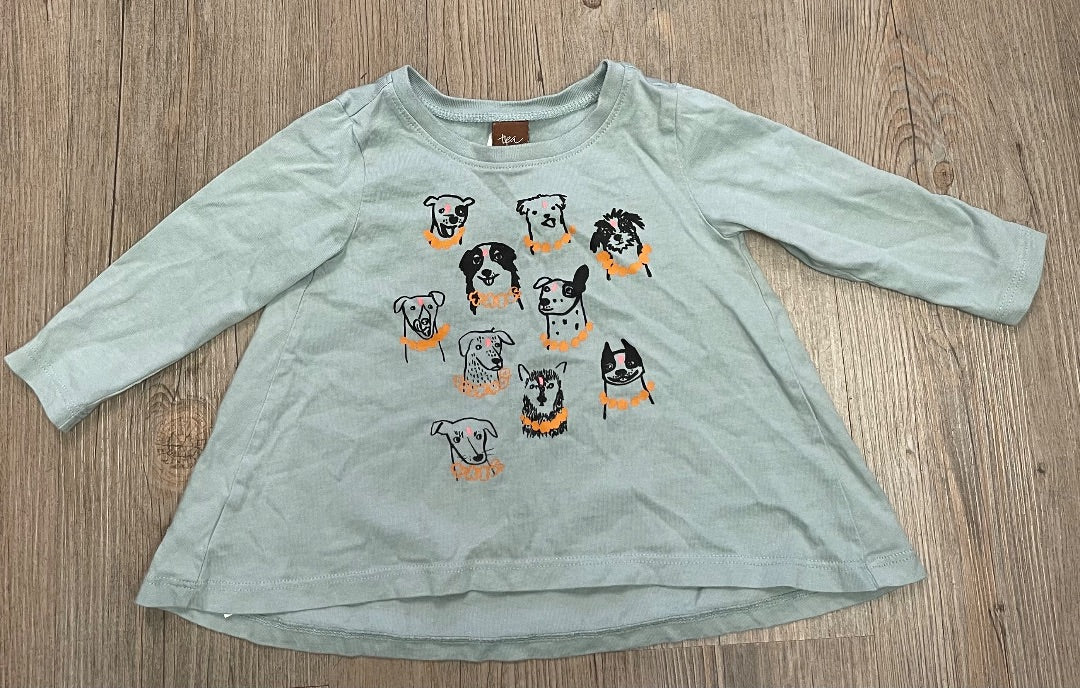 Sage Tea Long Sleeves Top, 9-12M