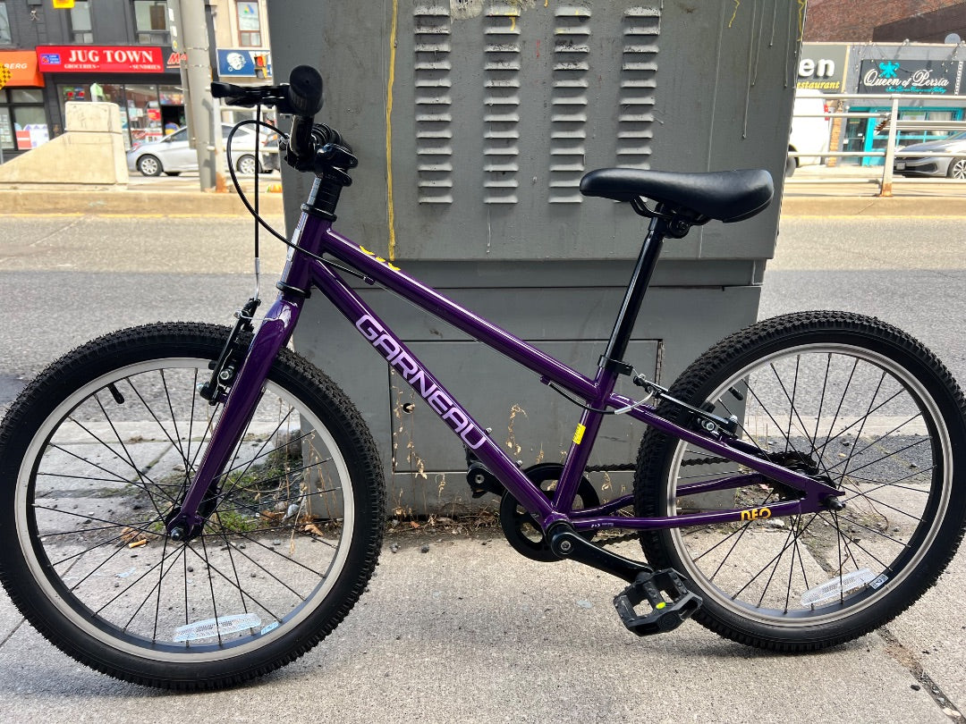 Purple Louis Garneau Neo 201 Bike, 20 Inch
