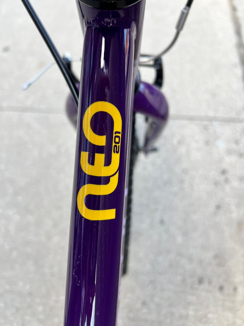 Purple Louis Garneau Neo 201 Bike, 20 Inch