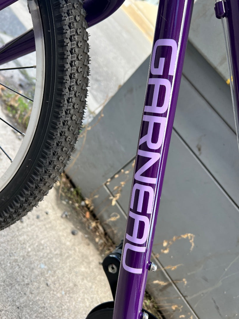 Purple Louis Garneau Neo 201 Bike, 20 Inch