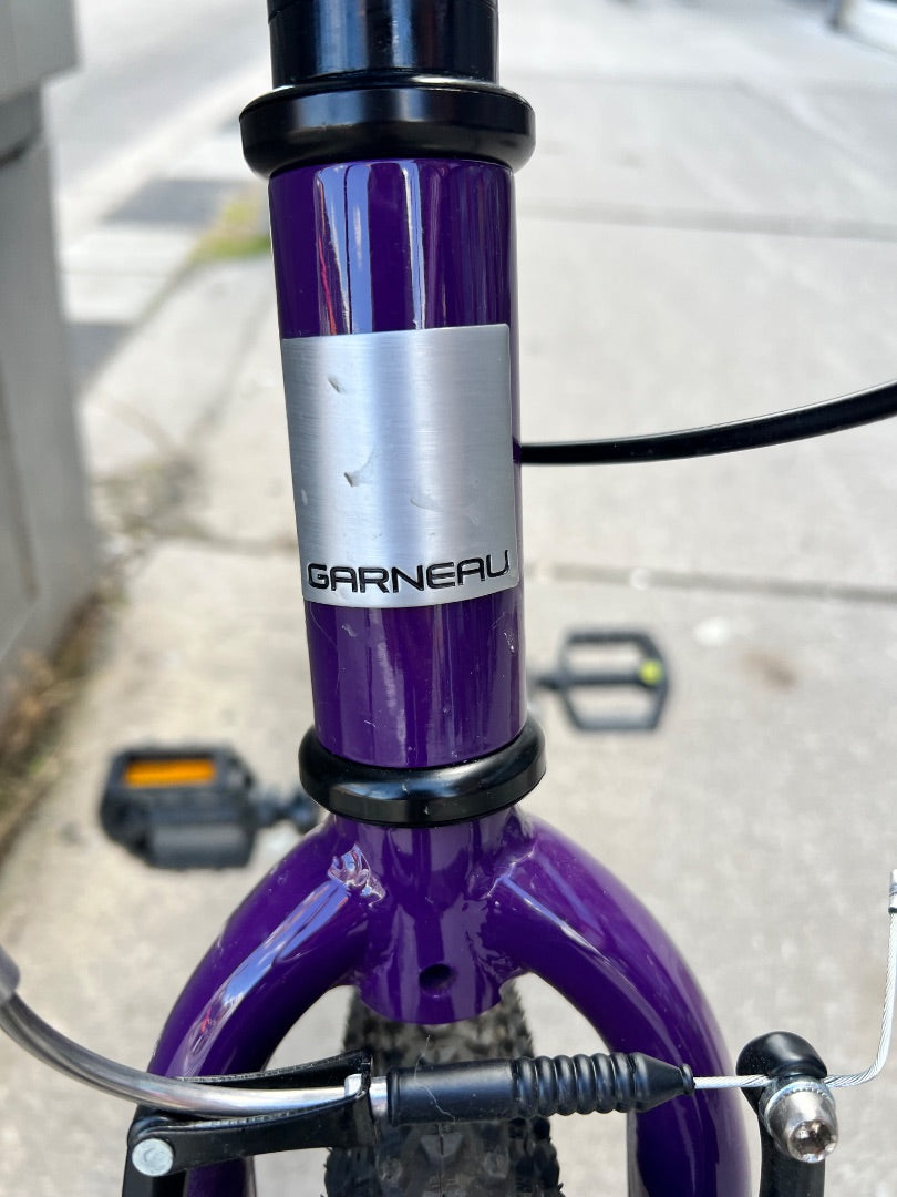 Purple Louis Garneau Neo 201 Bike, 20 Inch