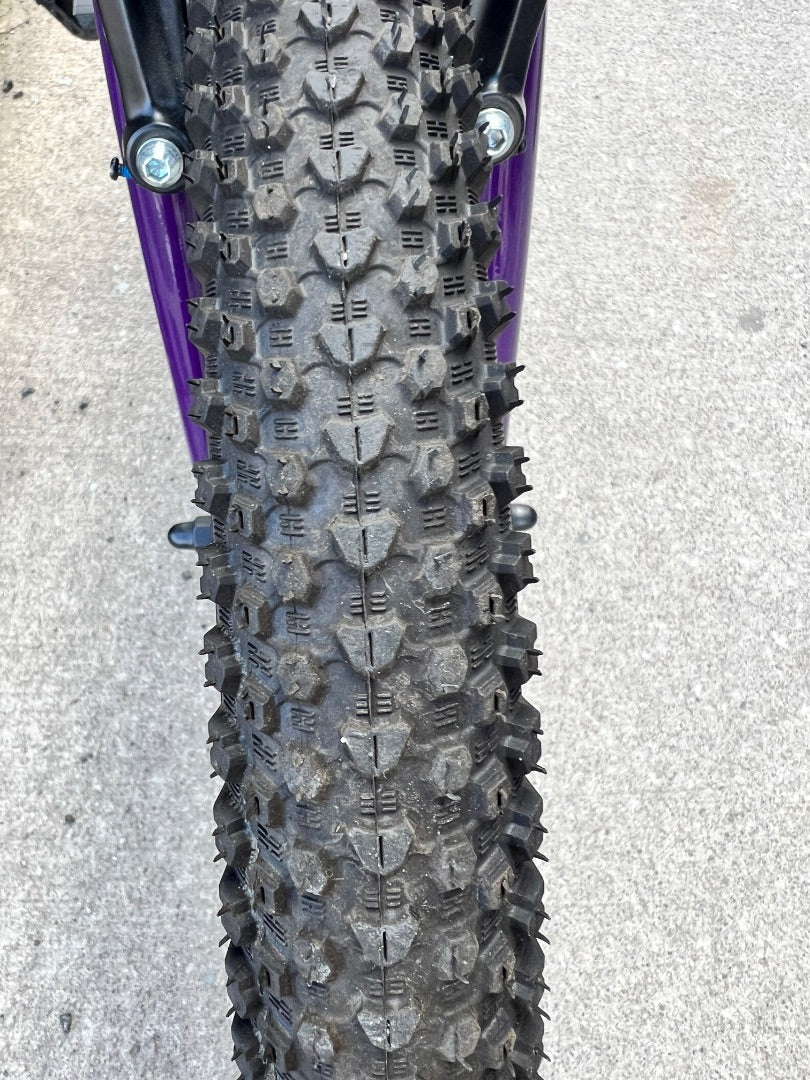 Purple Louis Garneau Neo 201 Bike, 20 Inch