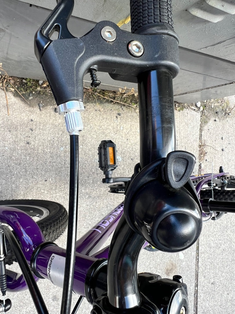 Purple Louis Garneau Neo 201 Bike, 20 Inch