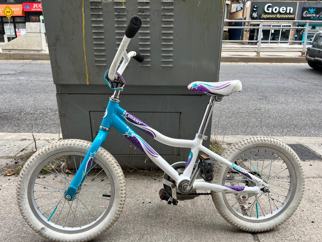 Purple  Teal Giant Bicycle, 16 Inch