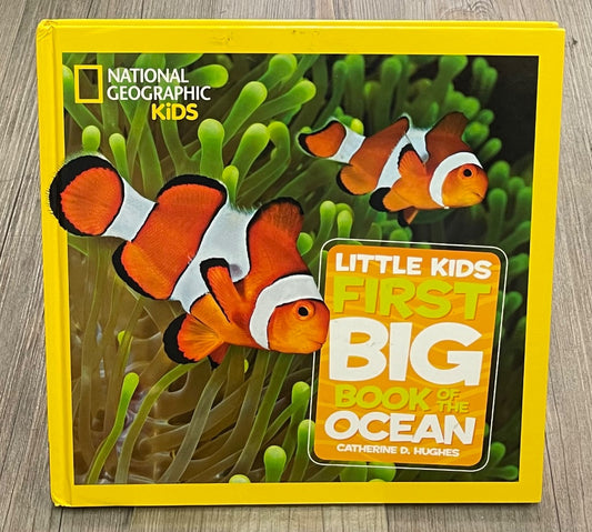 Multi Colour National Geographic Kids Little Kids First Big Book Of The Ocean, Hardcover