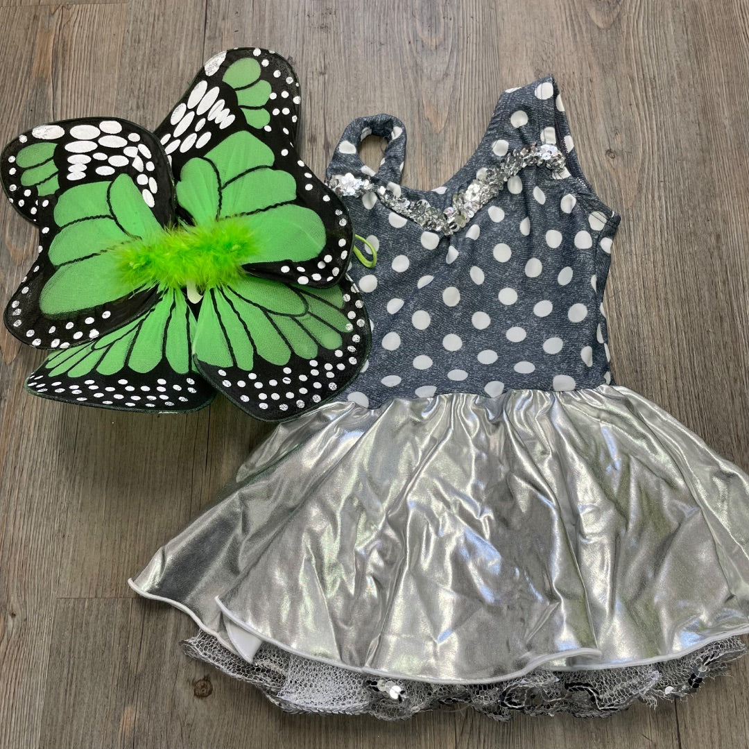 Silver Green  Butterfly Costume, 6Y