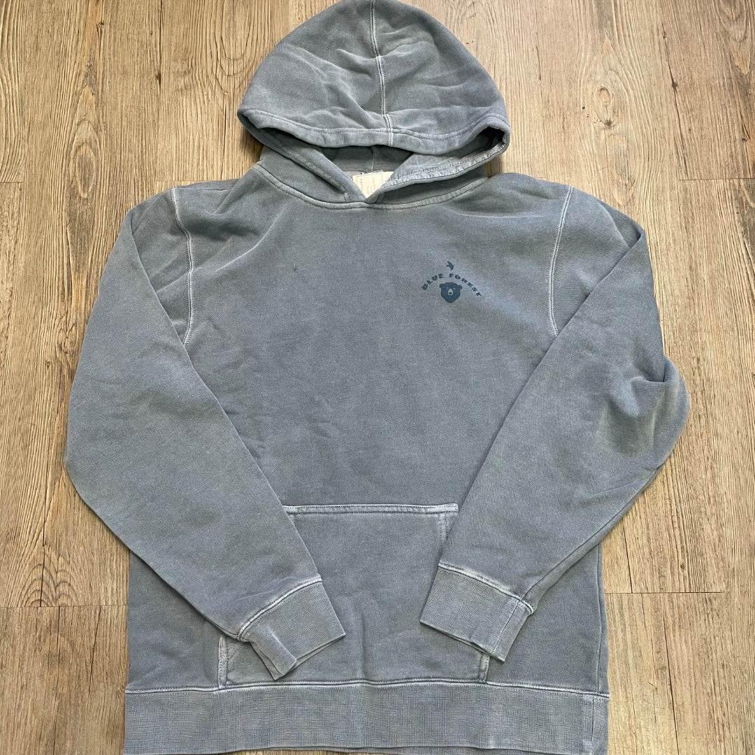 Denim Independent Pullover Hoodie, 14-16Y