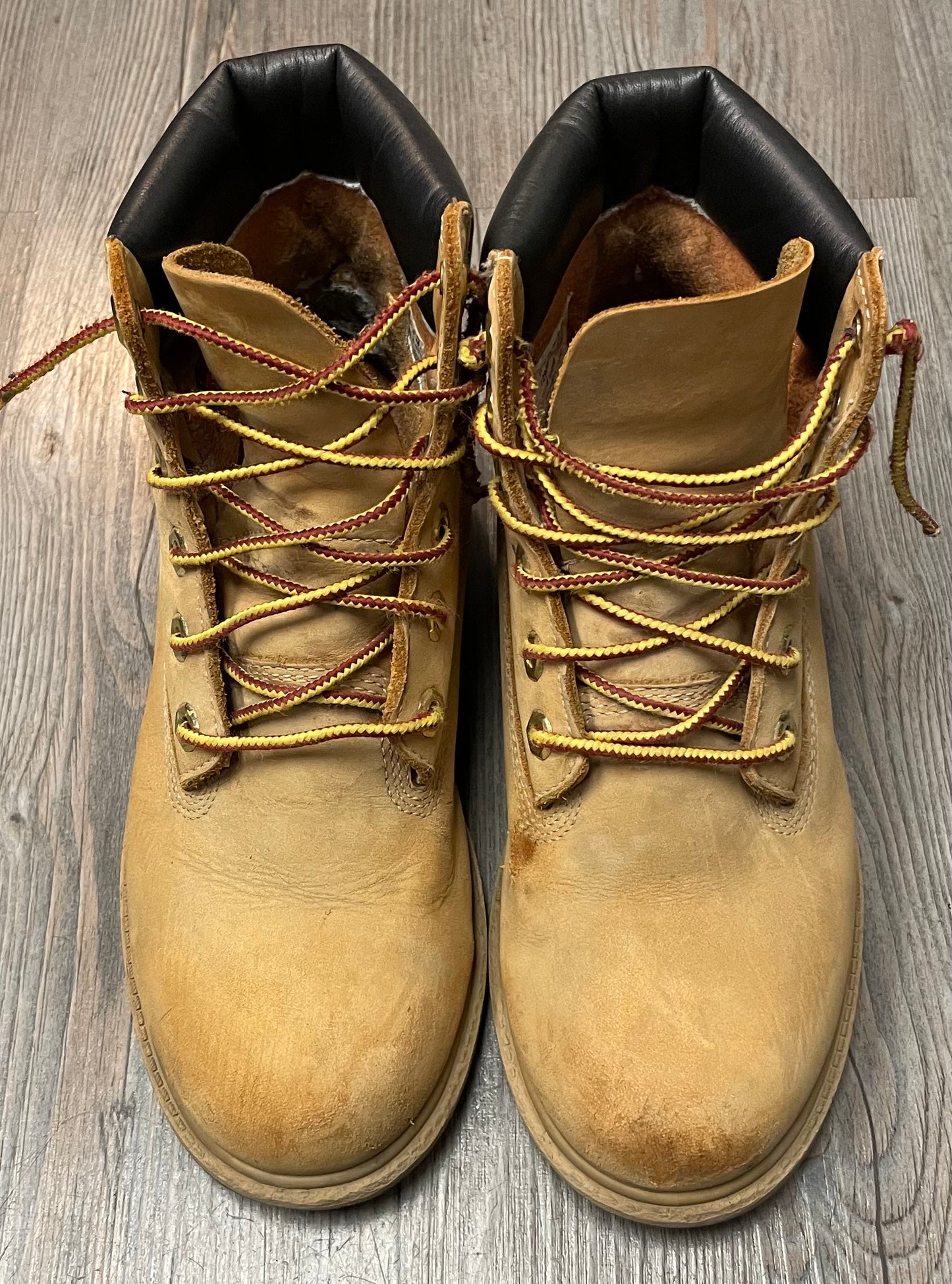 Wheat  Timberland Hightop Shoes, 3.5Y