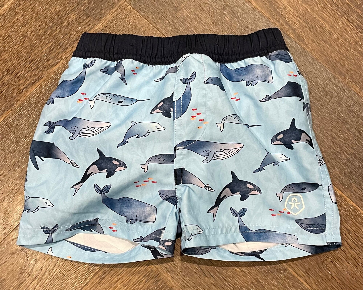 Dolphin  Color Kids Swimming Short, 1Y