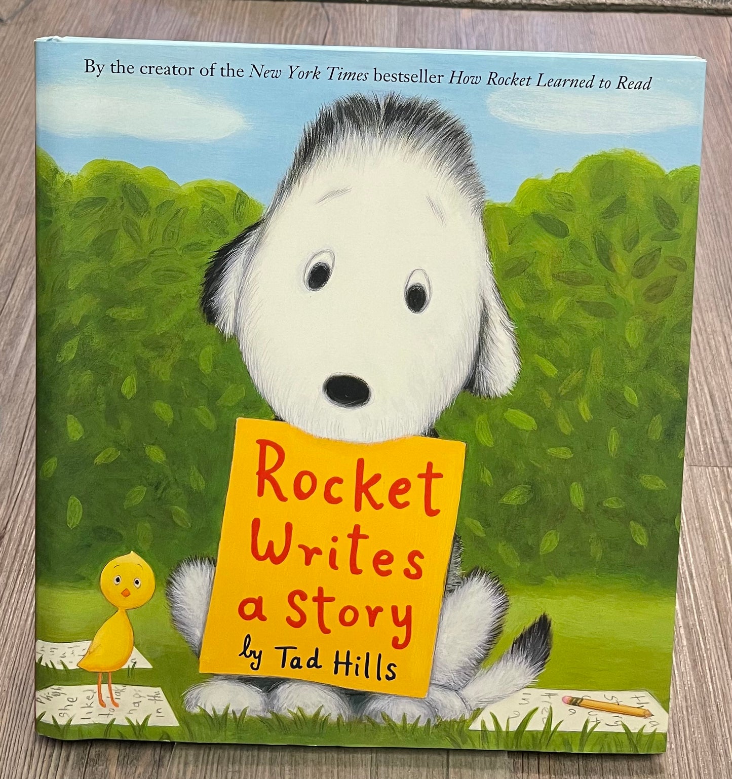 Multi  Rocket Writes A Story, Hardcover