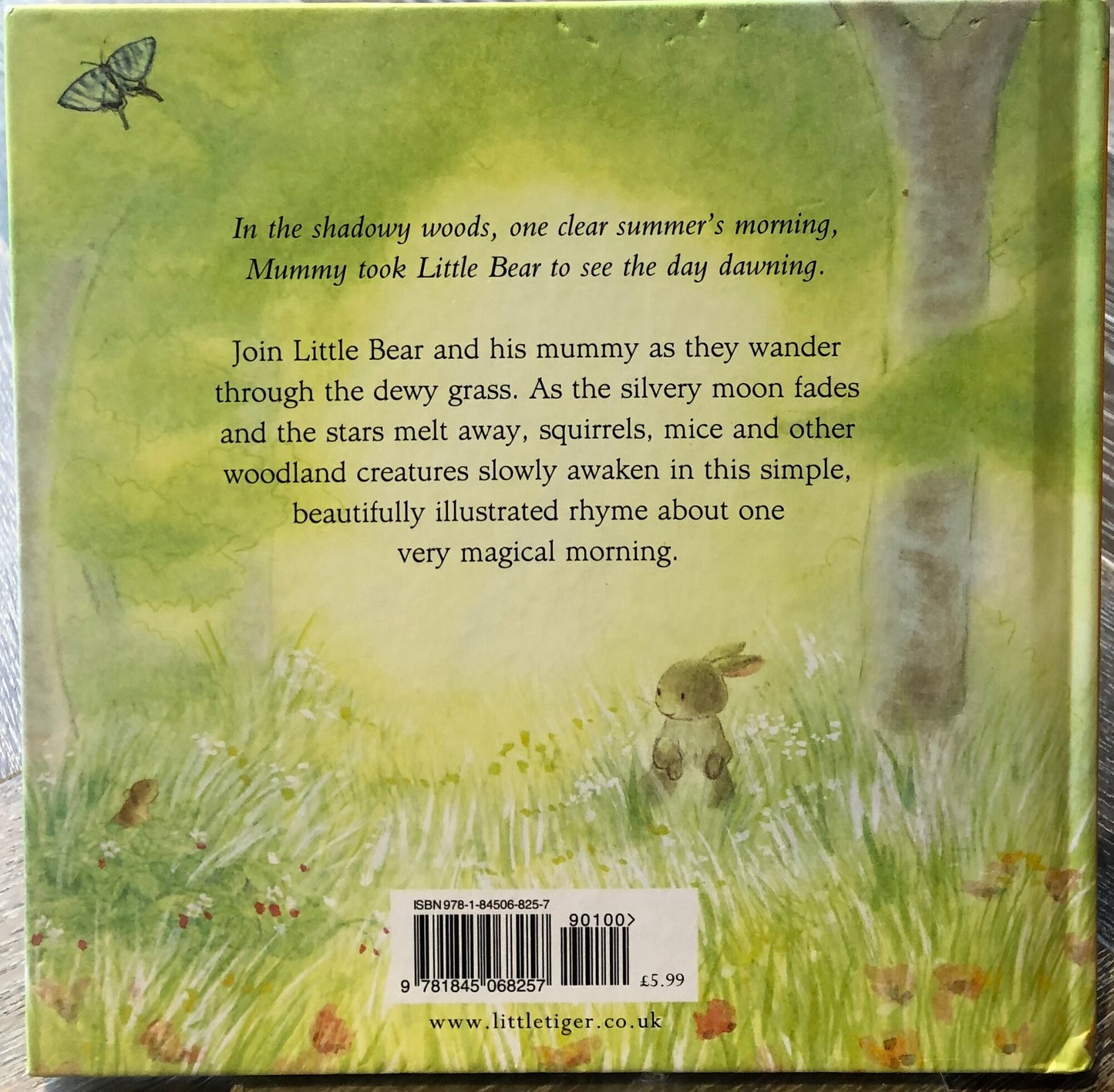 Multi  One Magical Morning, Hardcover
