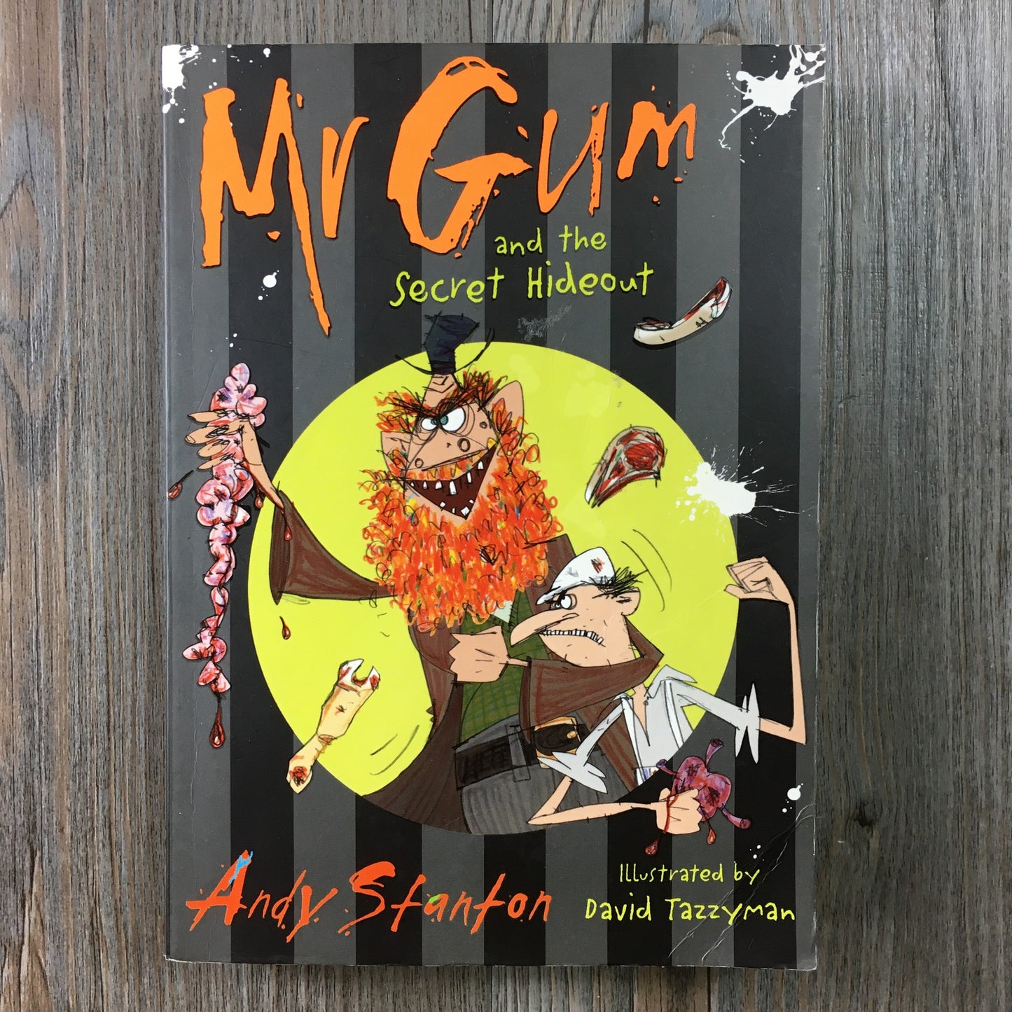 Multi  Mr Gum The Secret Hide Ou, 9-12Y