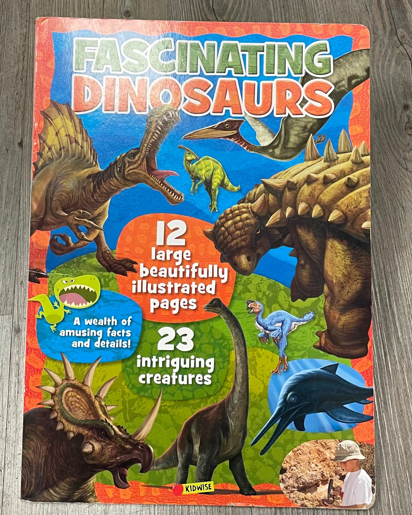 Multi  Fascinating Dinosaurs, Boardbook