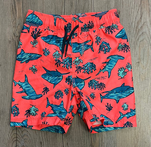 Multi  Old Navy Swimming Short, 2Y
