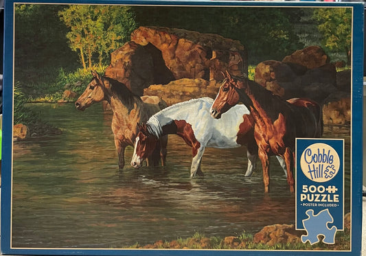 Multi  Cobble Hill Horse Pond, 500pcs