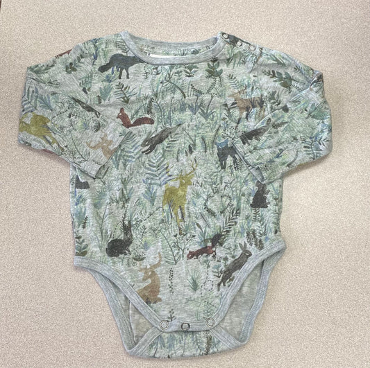 Multi  Little Wings Onesie LS, 6M