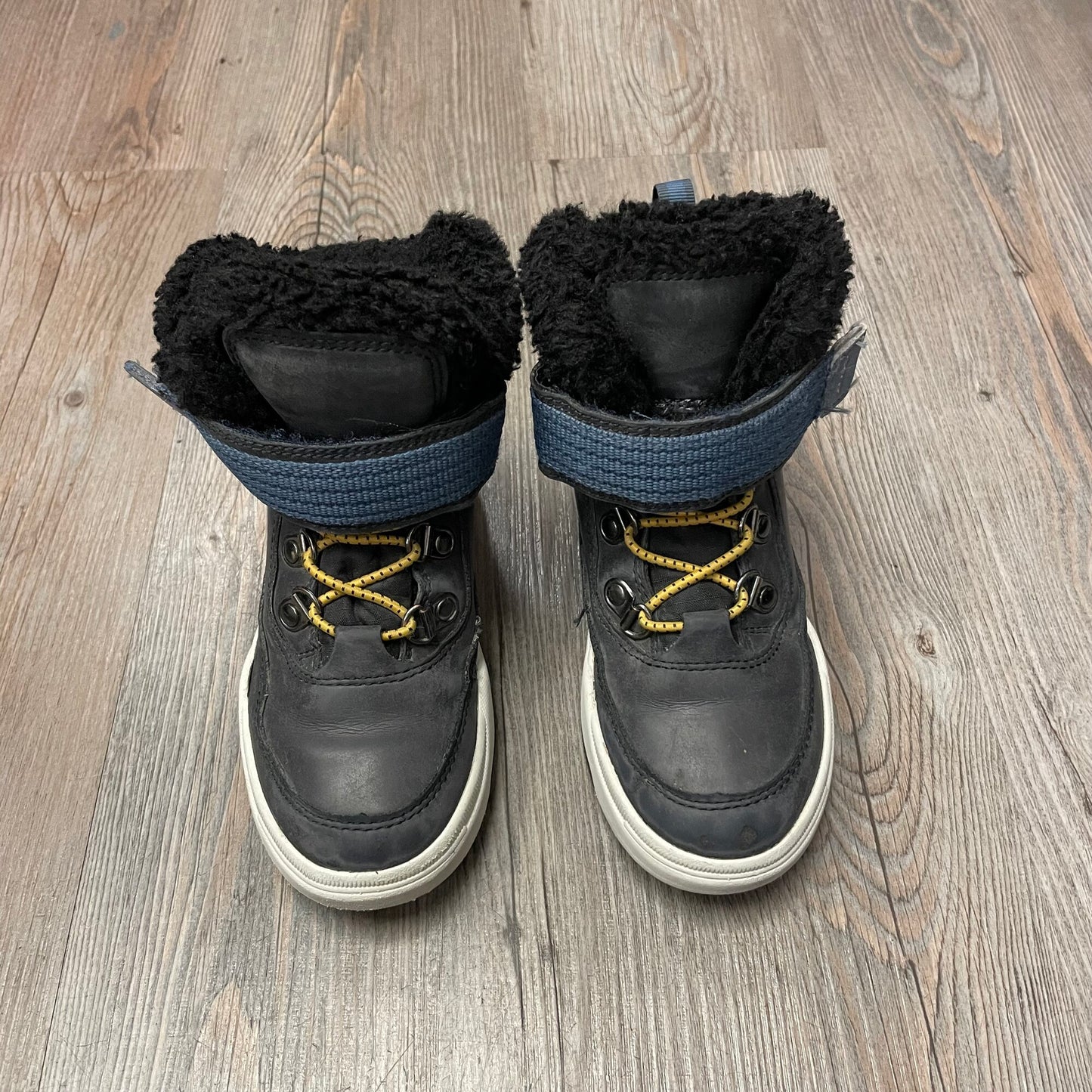 Navy  Geox Hightop Shoes, 10T