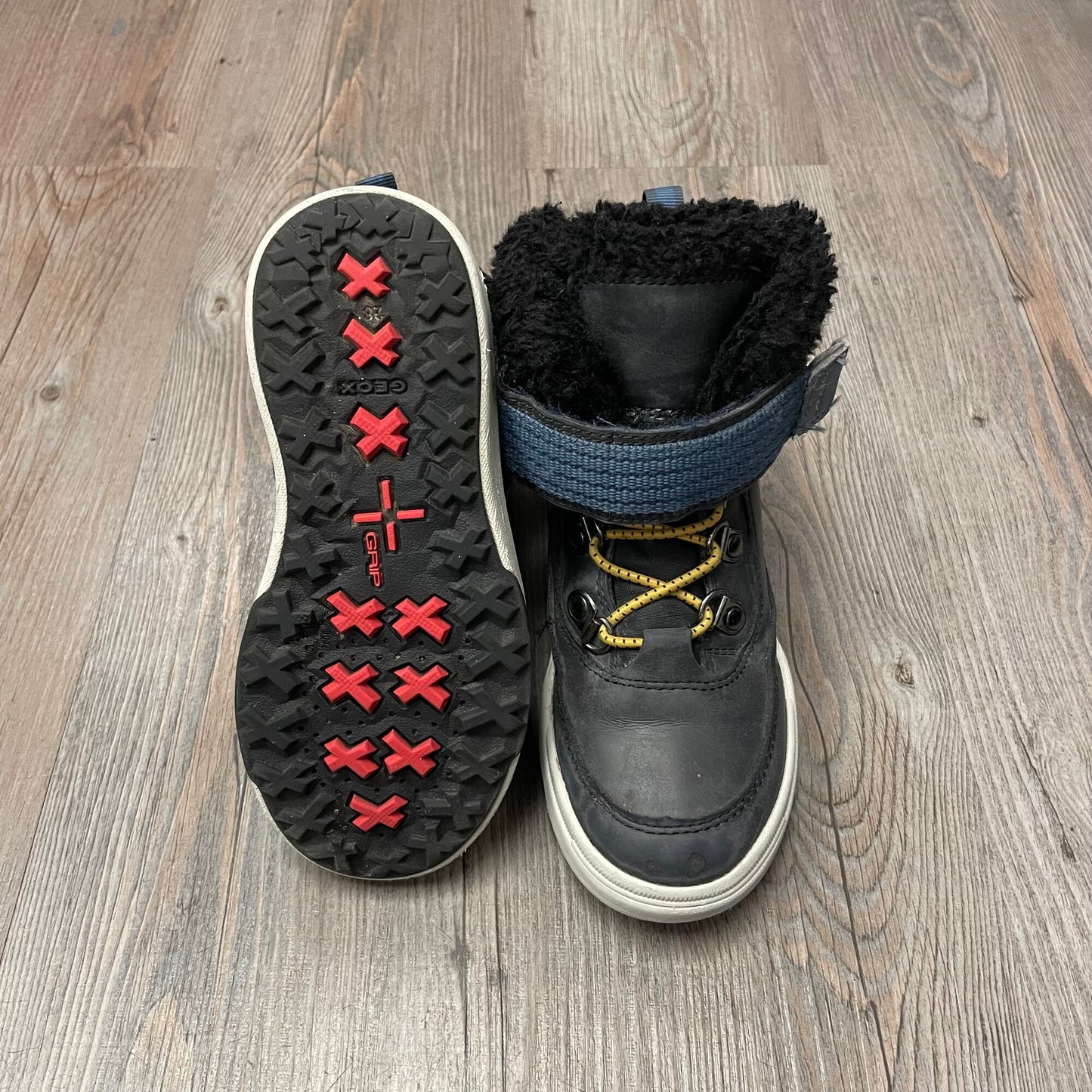 Navy  Geox Hightop Shoes, 10T