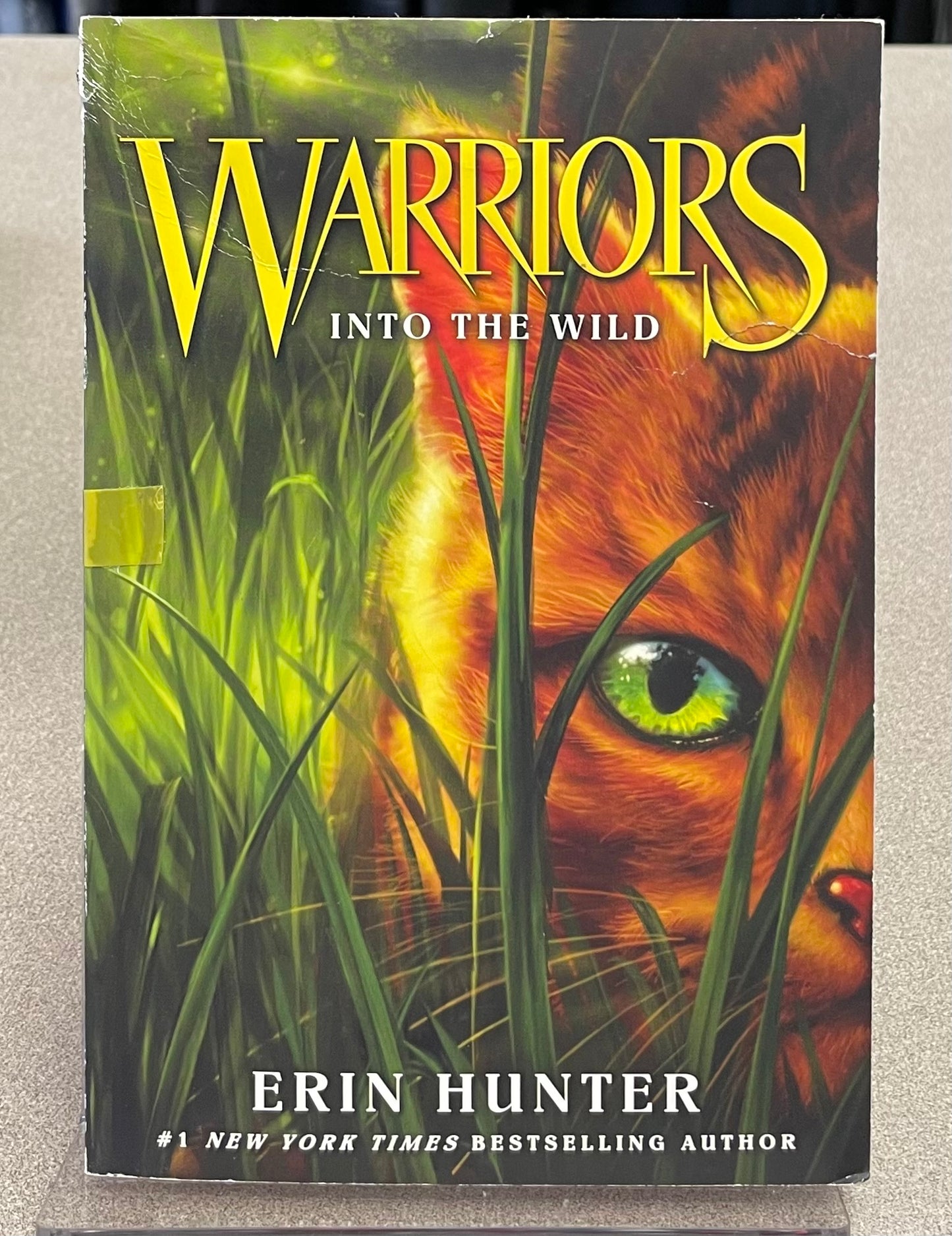 Multi  Warriors Into The Wild, Paperback