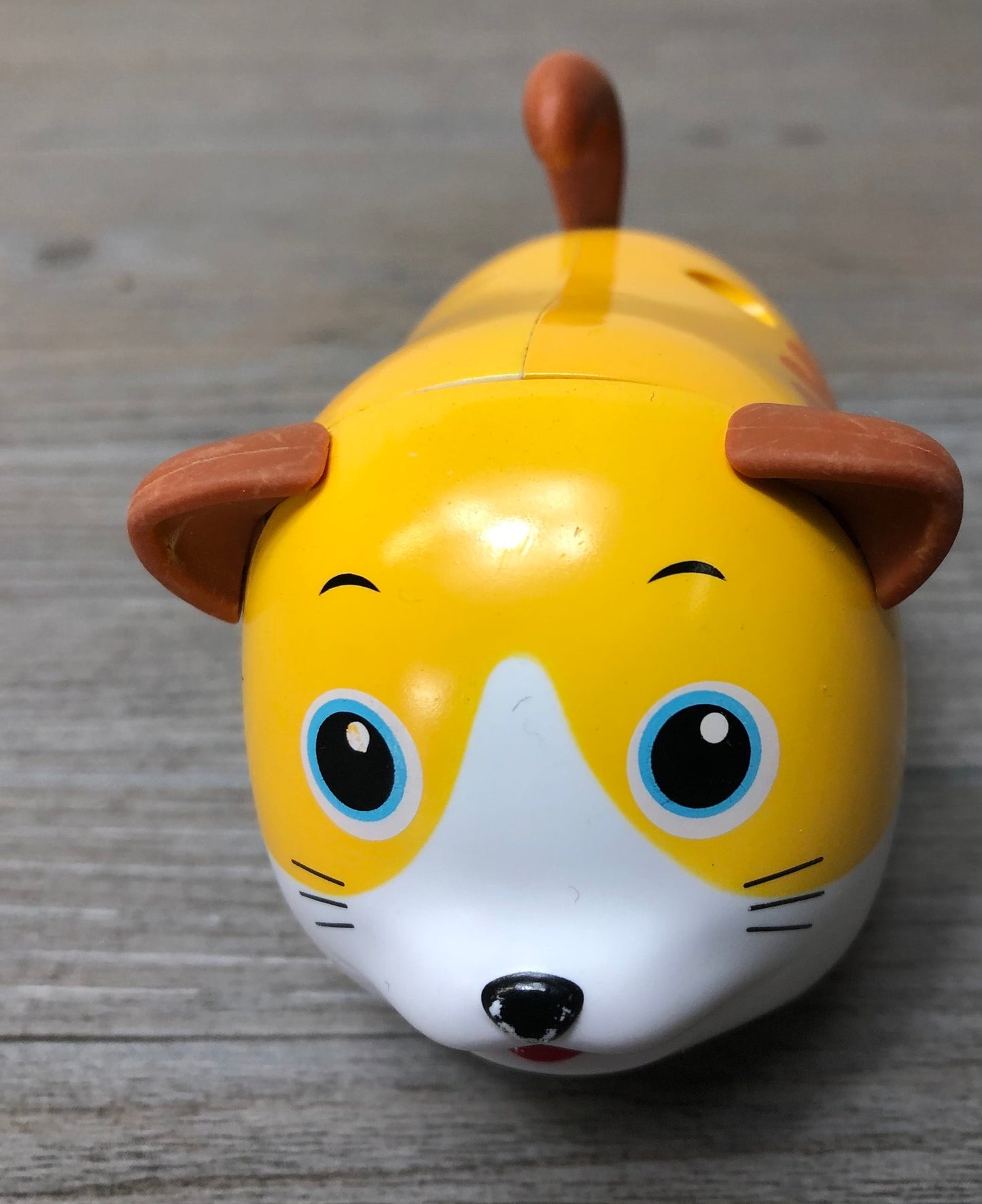 Yellow  Rolly Kitty, None