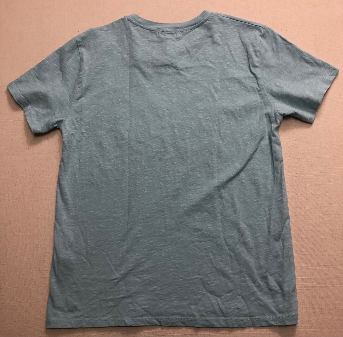 Blue  Zara Scuba T Shirt, 11-12Y
