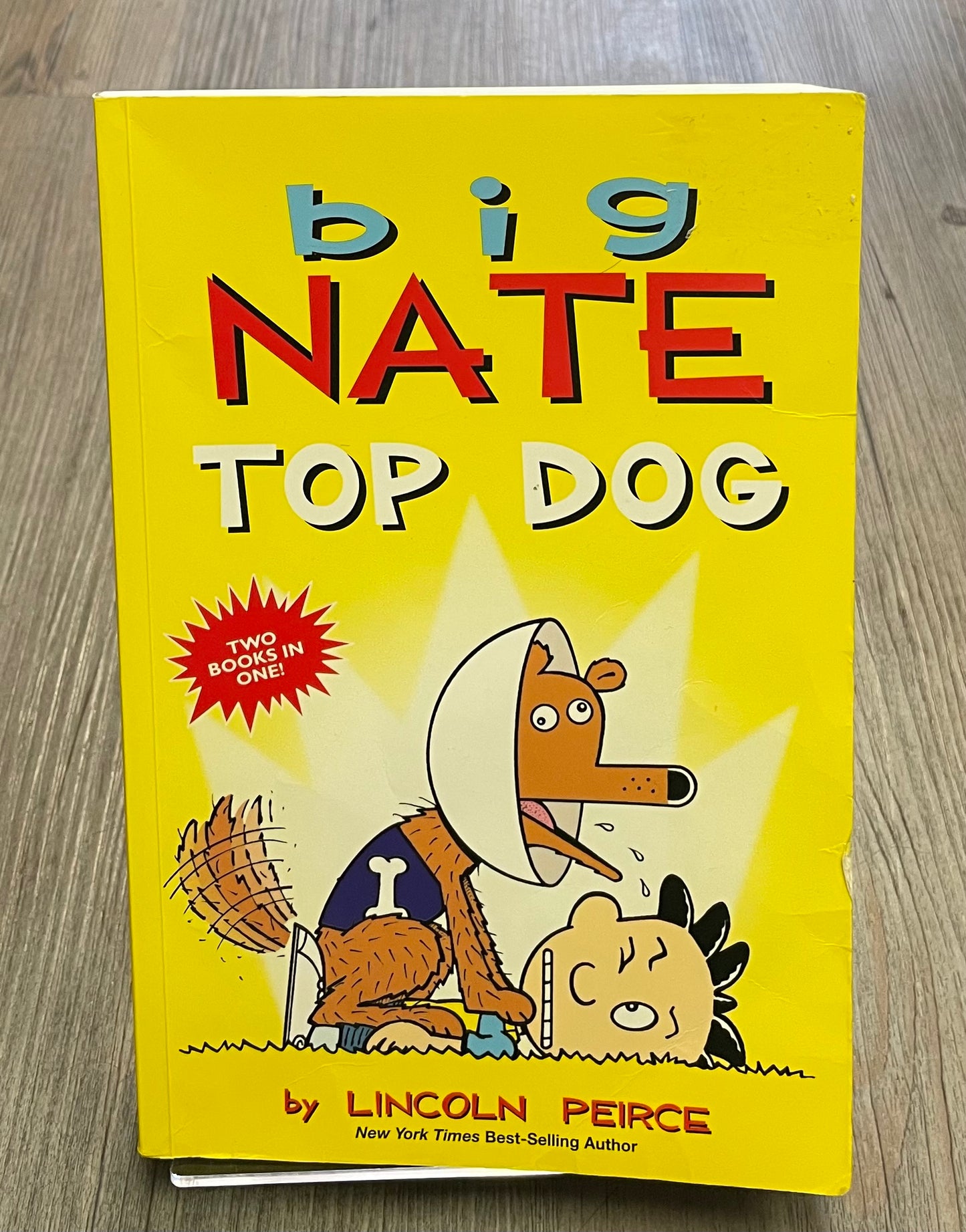 Yellow  Big Nate Top Dog, Paperback