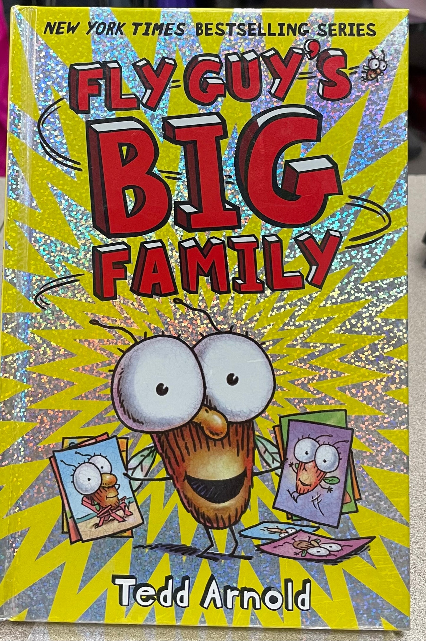 Multi  Fly Guys Big Family, Hardcover