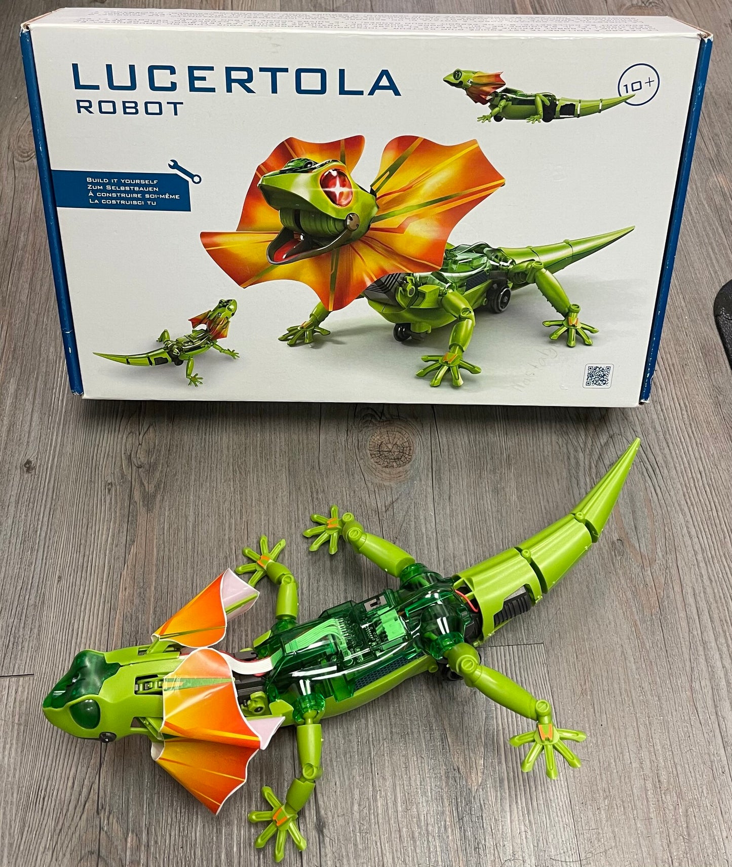 Green  Lucertola Robot, 10Y+