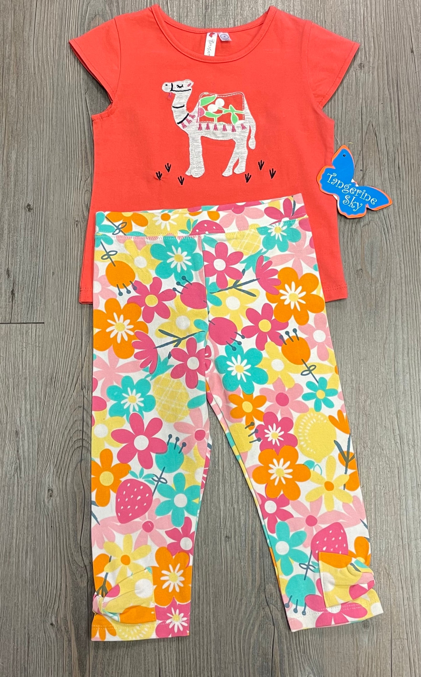 Orange  TS Kids Clothing Set, 4Y