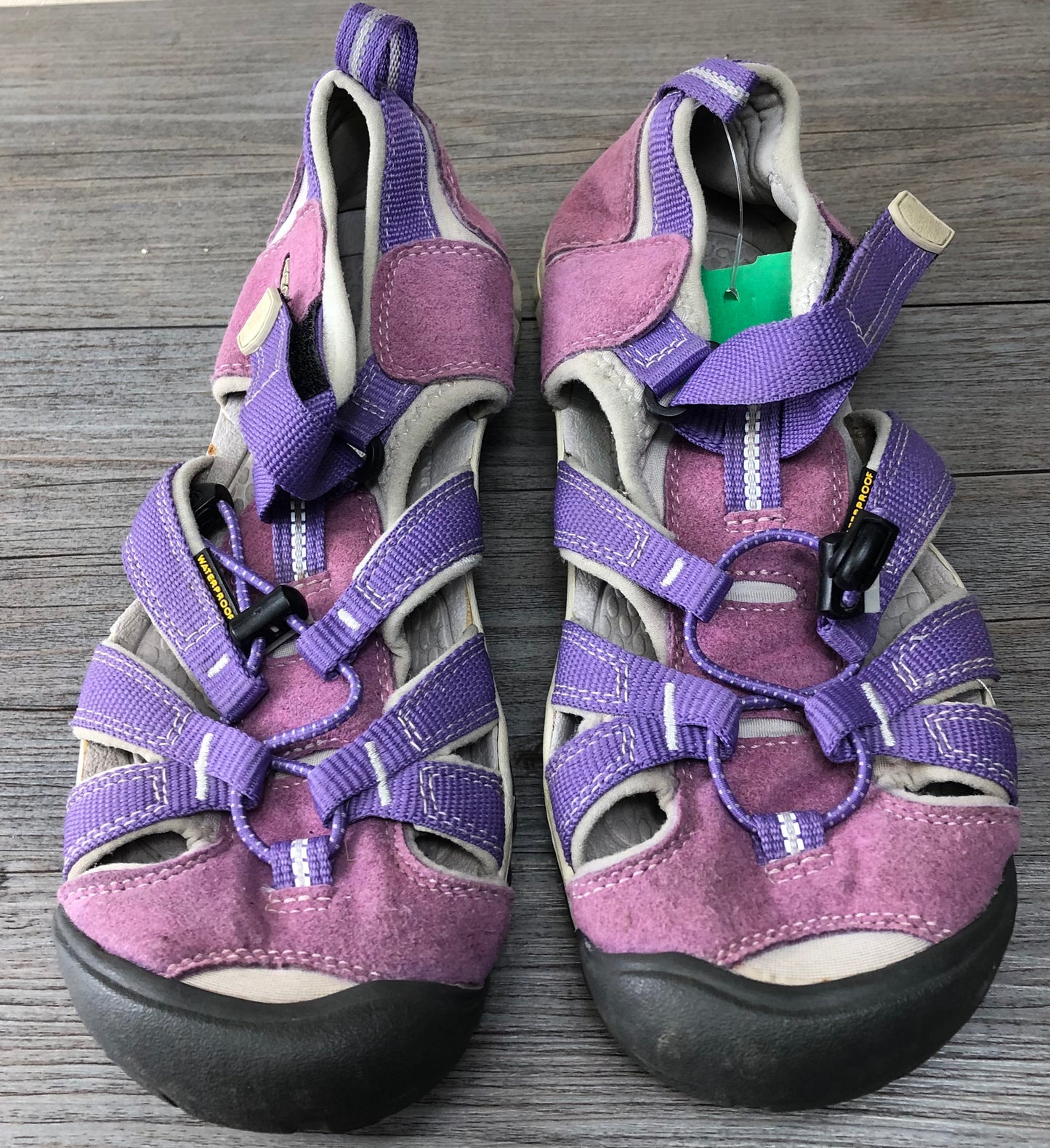 Purple  Keen, 4Y