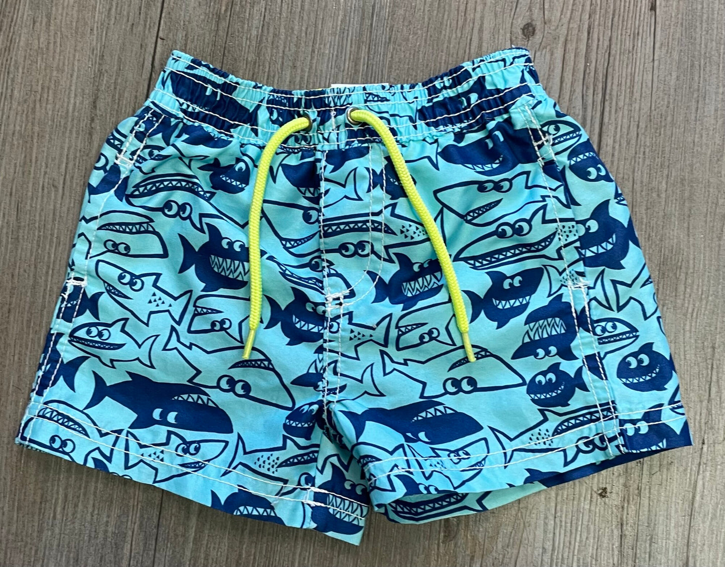 Blue  Carters Swimming Shorts, 9M