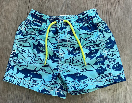 Blue  Carters Swimming Shorts, 9M