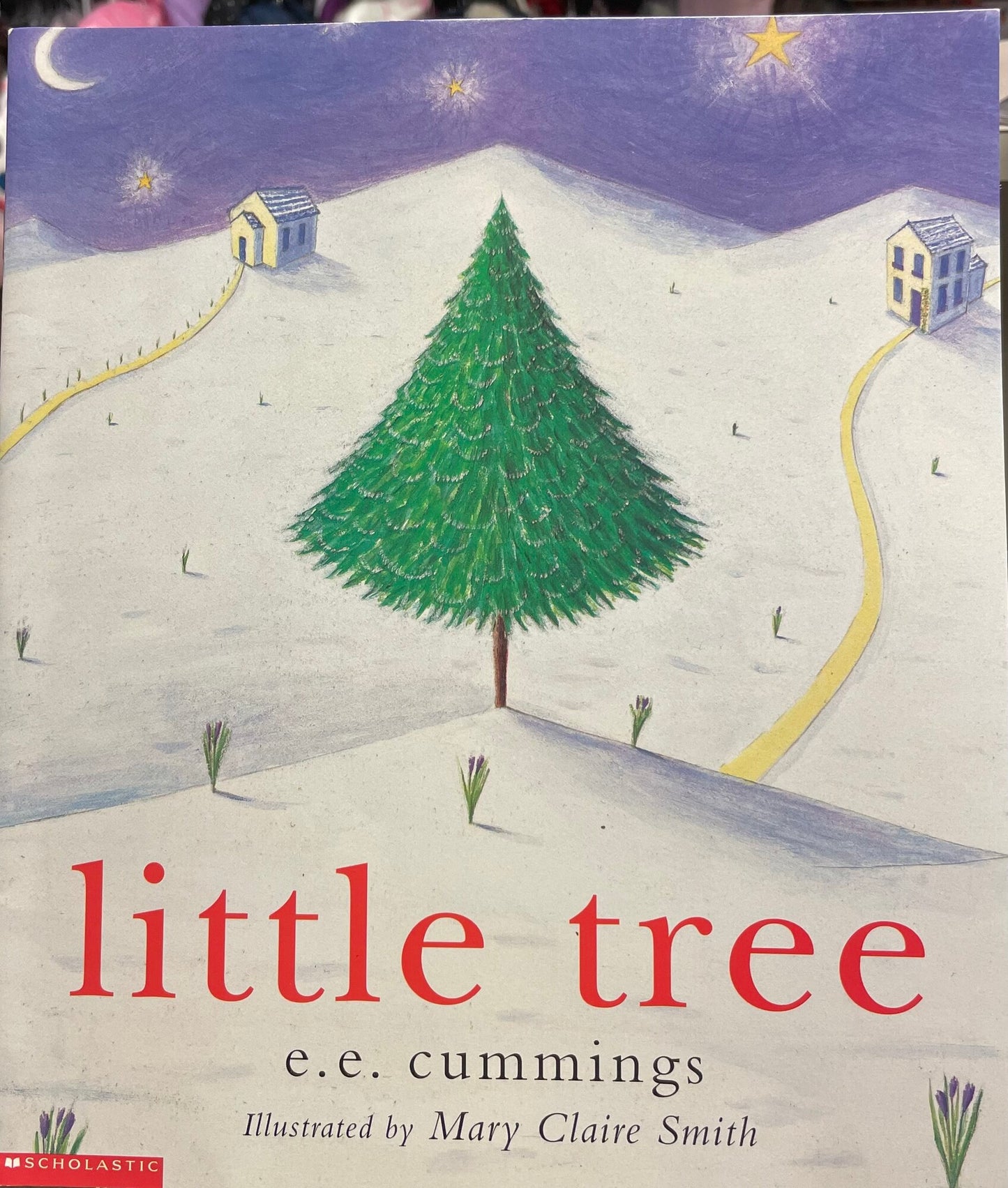 Multi  Little Tree, Paperback