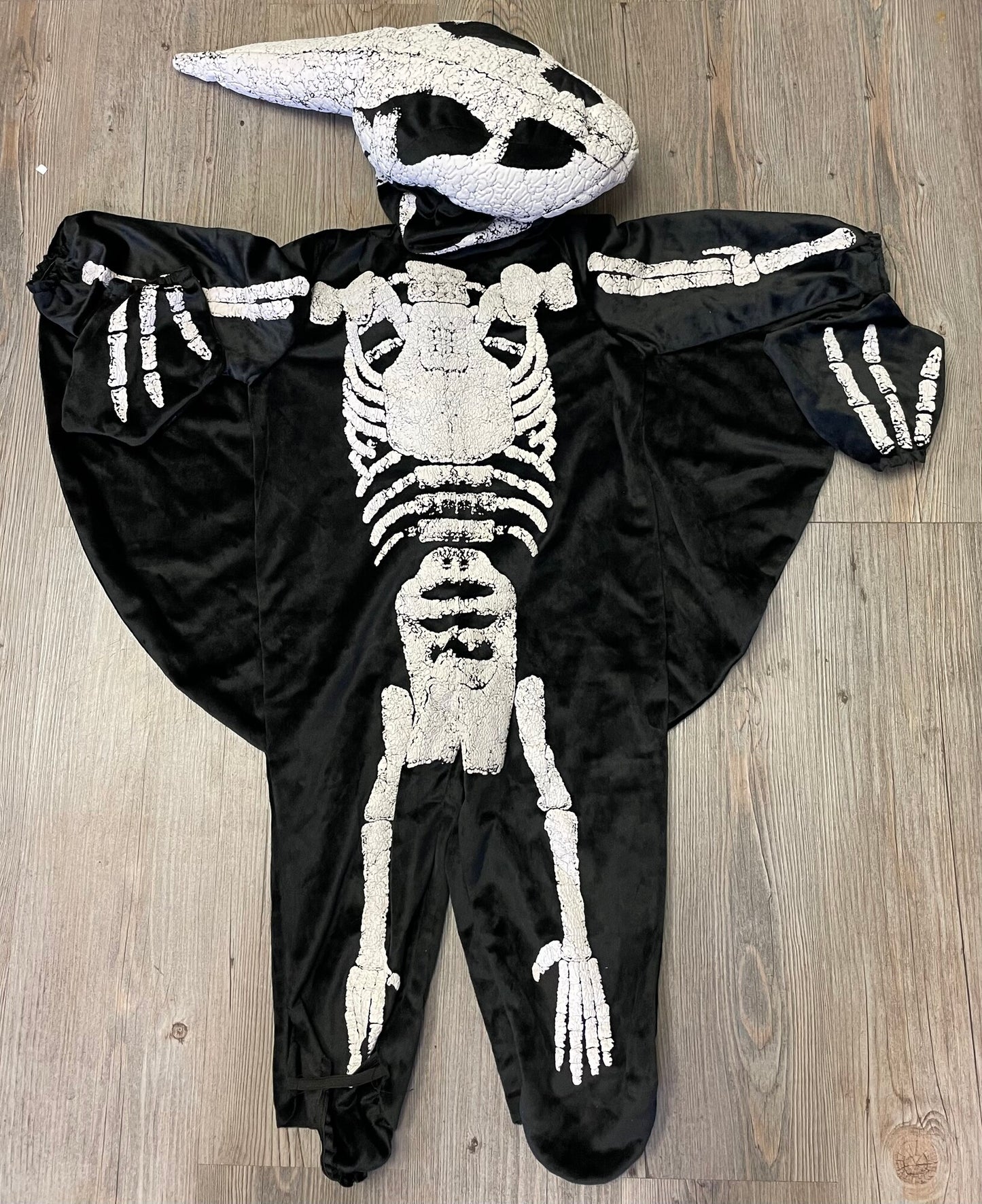 Black  Pteradactyl Fossil, 18-24M