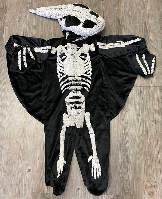 Black  Pteradactyl Fossil, 18-24M